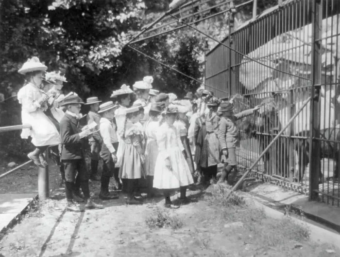 Framed Print : Group of public school children looking at bears in the National Zoo(?), Washington, D.C. (1899?). Creator: Frances Benjamin Johnston Framed Print : Group of public school children looking at bears in the National Zoo(?), Washington, D.C. (1899?). Creator: Frances Benjamin Johnston