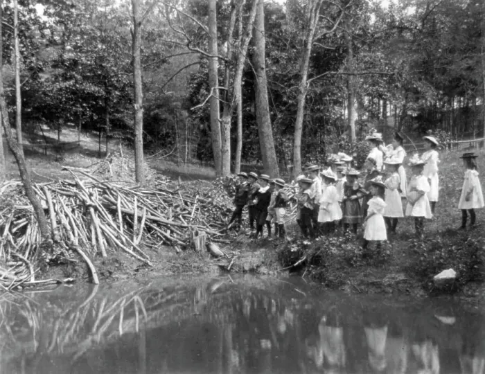 Framed Print : Group of public school children looking at beaver dam in the National Zoo(?), Washington DC, (1899?) Creator: Frances Benjamin Johnston Framed Print : Group of public school children looking at beaver dam in the National Zoo(?), Washington DC, (1899?) Creator: Frances Benjamin Johnston