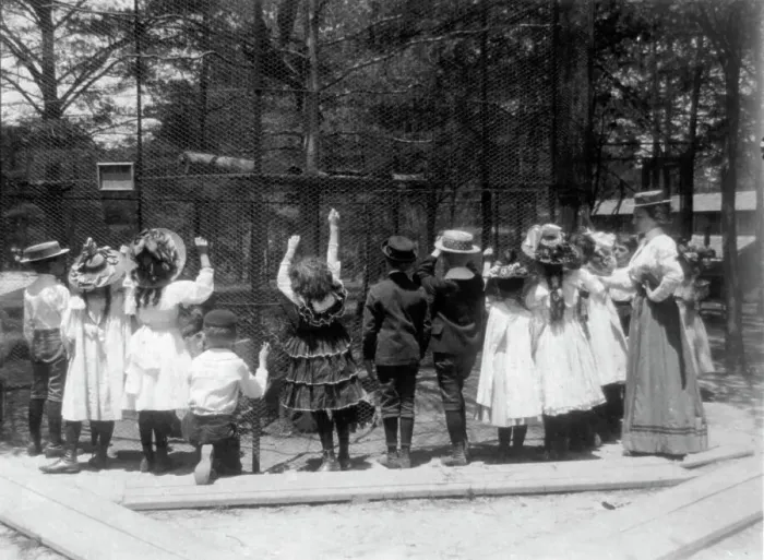 Framed Print : Group of public school children offering peanuts to animals in the Nation... Washington DC, (1899?) Creator: Frances Benjamin Johnston Framed Print : Group of public school children offering peanuts to animals in the Nation... Washington DC, (1899?) Creator: Frances Benjamin Johnston