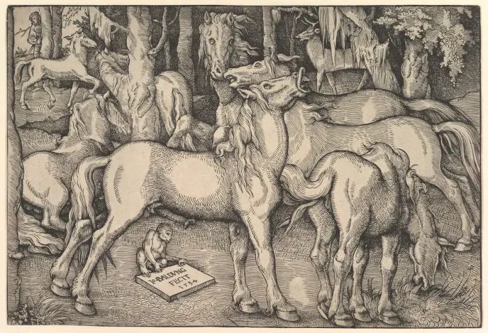 Framed Print : Group of Seven Horses, 1534. Creator: Hans Baldung Framed Print : Group of Seven Horses, 1534. Creator: Hans Baldung