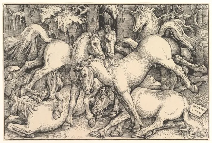 Framed Print : Group of Seven Horses, 1534. Creator: Hans Baldung Framed Print : Group of Seven Horses, 1534. Creator: Hans Baldung