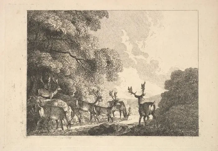Framed Print : A Group of Stags Drinking, 1784-88. Creator: Thomas Rowlandson Framed Print : A Group of Stags Drinking, 1784-88. Creator: Thomas Rowlandson
