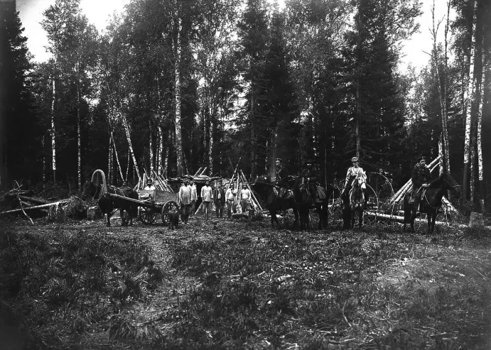 Framed Print : A Group of Workers in the Taiga, 1909. Creator: Dorozhno-Stroitel'nyi Otdel Framed Print : A Group of Workers in the Taiga, 1909. Creator: Dorozhno-Stroitel'nyi Otdel