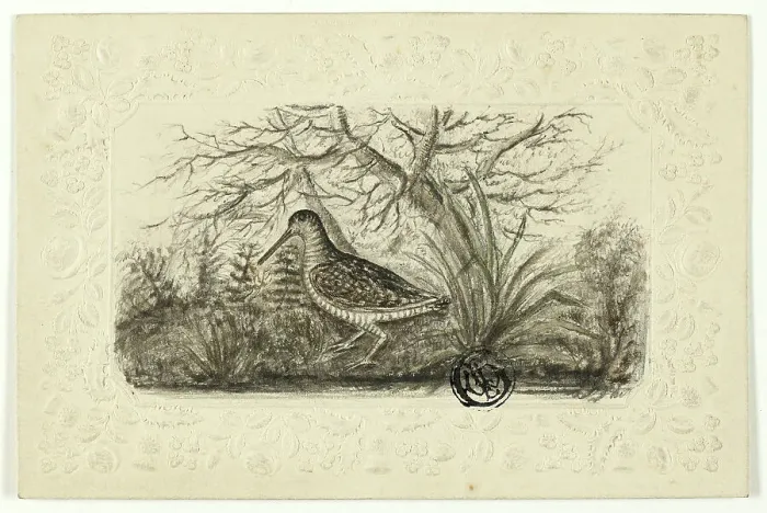 Framed Print : Grouse, n.d. Creator: Henry LeJeune Framed Print : Grouse, n.d. Creator: Henry LeJeune