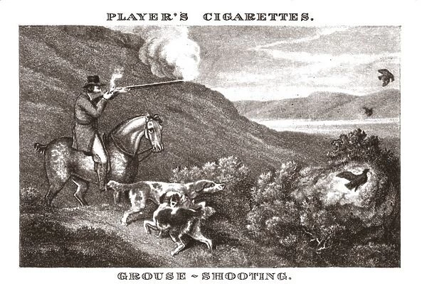 Grouse-Shooting, (1924). Creator: Unknown