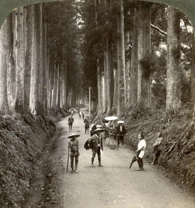 Framed Print : The groves were Gods first temples, avenue of noble cryptomerias at Nikko, Japan, 1904. Artist: Underwood & Underwood Framed Print : The groves were Gods first temples, avenue of noble cryptomerias at Nikko, Japan, 1904. Artist: Underwood & Underwood