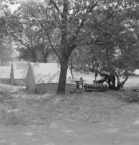 The grower provided clean tents and a shady... near Grants Pass, Josephine County, Oregon, 1939. Creator: Dorothea Lange