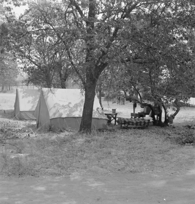 Framed Print : The grower provided clean tents and a shady... near Grants Pass, Josephine County, Oregon, 1939. Creator: Dorothea Lange Framed Print : The grower provided clean tents and a shady... near Grants Pass, Josephine County, Oregon, 1939. Creator: Dorothea Lange