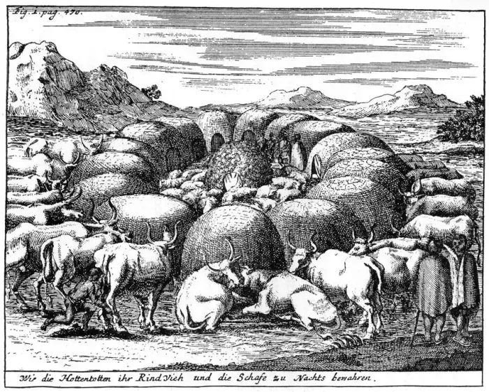 Framed Print : Guarding sheep and cattle at night, South Africa, 18th century (1931) Framed Print : Guarding sheep and cattle at night, South Africa, 18th century (1931)