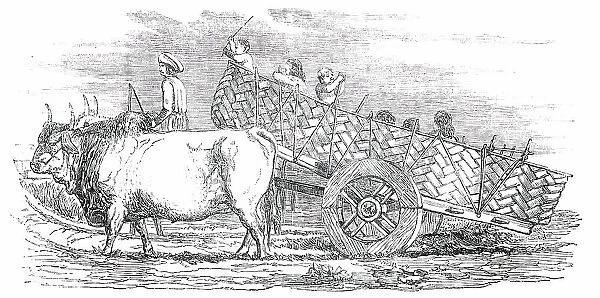 Gujerat Village-Cart, 1850. Creator: Unknown