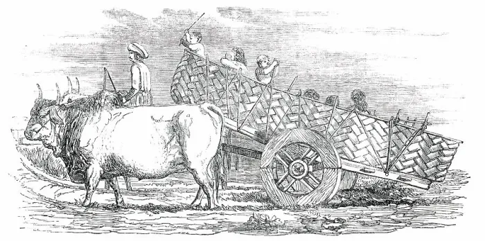 Framed Print : Gujerat Village-Cart, 1850. Creator: Unknown Framed Print : Gujerat Village-Cart, 1850. Creator: Unknown