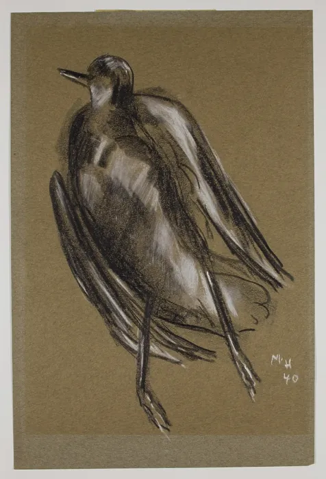 Framed Print : Gull, c1940. Creator: Marsden Hartley Framed Print : Gull, c1940. Creator: Marsden Hartley