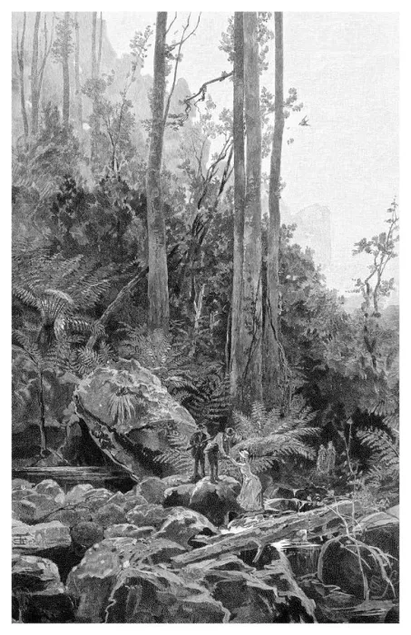 Framed Print : A gully in the Blue Mountains, Australia, 1886. Artist: Frederic B Schell Framed Print : A gully in the Blue Mountains, Australia, 1886. Artist: Frederic B Schell
