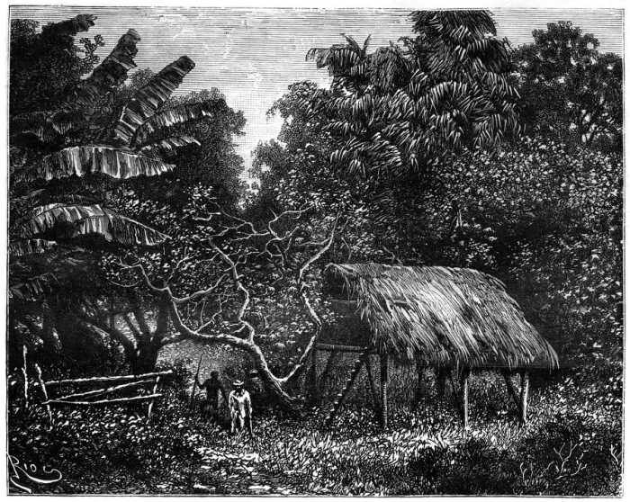 Framed Print : Guyana, South America, 19th century. Artist: Edouard Riou Framed Print : Guyana, South America, 19th century. Artist: Edouard Riou
