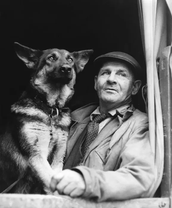 Framed Print : Gypsy man with dog, 1960s Framed Print : Gypsy man with dog, 1960s