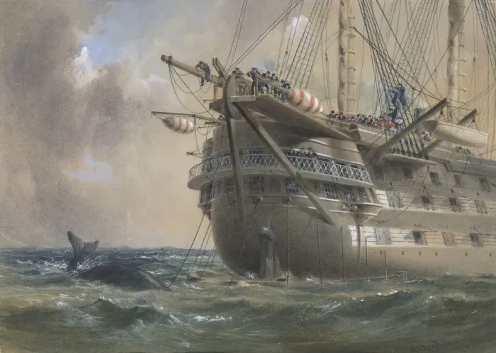 Framed Print : H. M. S. Agamemnon Laying the Atlantic Telegraph Cable in 1858: a Whale Crosses the Line Framed Print : H. M. S. Agamemnon Laying the Atlantic Telegraph Cable in 1858: a Whale Crosses the Line