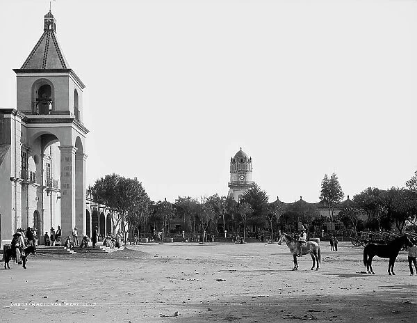 Hacienda Peotillos, between 1880 and 1897. Creator: William H. Jackson