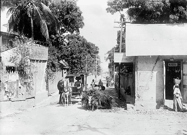 Haiti. Scene, Port Au Prince, 1911. Creator: Harris & Ewing. Haiti. Scene, Port Au Prince, 1911. Creator: Harris & Ewing