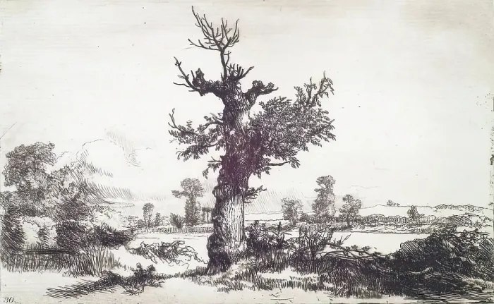 Framed Print : Halliford on Thames: Stump of a Tree in Centre, c1826. Creator: Andrew Geddes Framed Print : Halliford on Thames: Stump of a Tree in Centre, c1826. Creator: Andrew Geddes