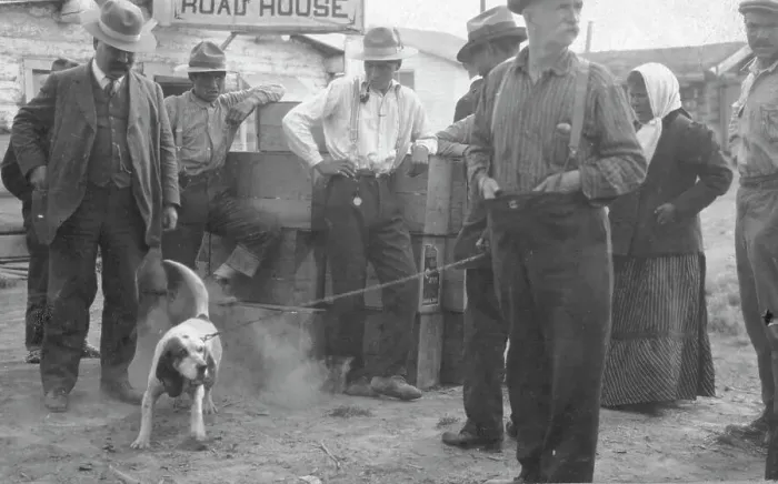 Framed Print : In front of Haly's Road House, Jim Haly holds a dog, between c1900 and 1916. Creator: Unknown Framed Print : In front of Haly's Road House, Jim Haly holds a dog, between c1900 and 1916. Creator: Unknown