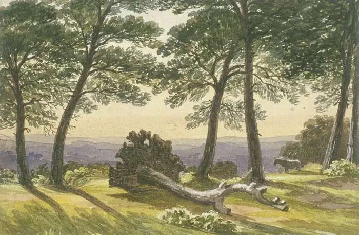 Framed Print : Hampstead Heath, London, c1830. Artist: J Powell Framed Print : Hampstead Heath, London, c1830. Artist: J Powell