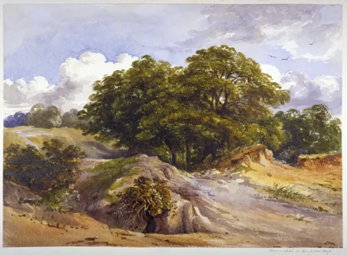 Framed Print : Hampstead Heath, London, c1843 Framed Print : Hampstead Heath, London, c1843