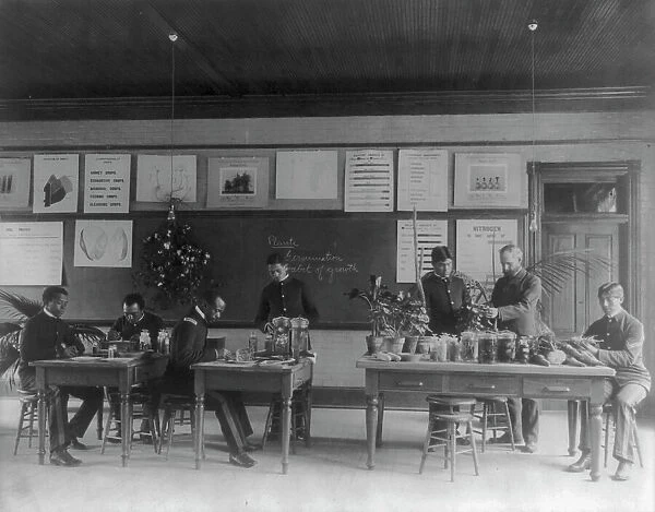Hampton Institute, Va. - Plant study lab, 1899 or 1900. Creator: Frances Benjamin Johnston