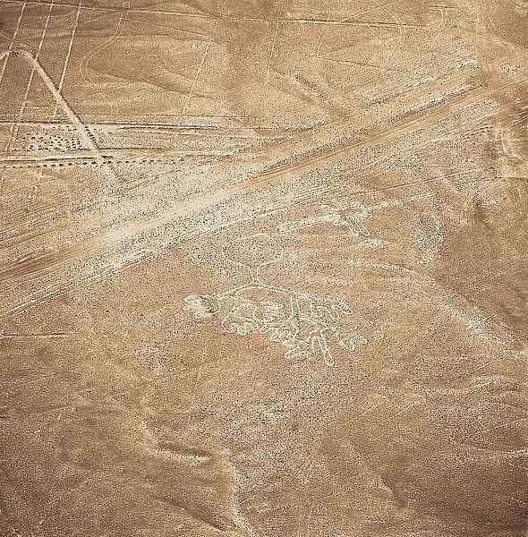 Hands, Nazca Lines, Ica, Peru, 2015. Creator: Luis Rosendo