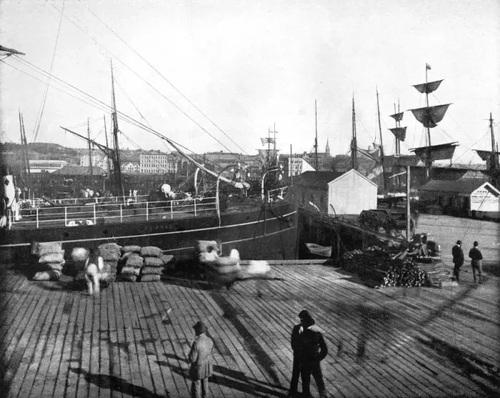 Framed Print : Harbour of Auckland, New Zealand, 1893. Artist: John L Stoddard Framed Print : Harbour of Auckland, New Zealand, 1893. Artist: John L Stoddard