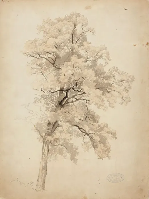 Framed Print : Hardwood, 1848-1860. Creator: Werner Holmberg Framed Print : Hardwood, 1848-1860. Creator: Werner Holmberg
