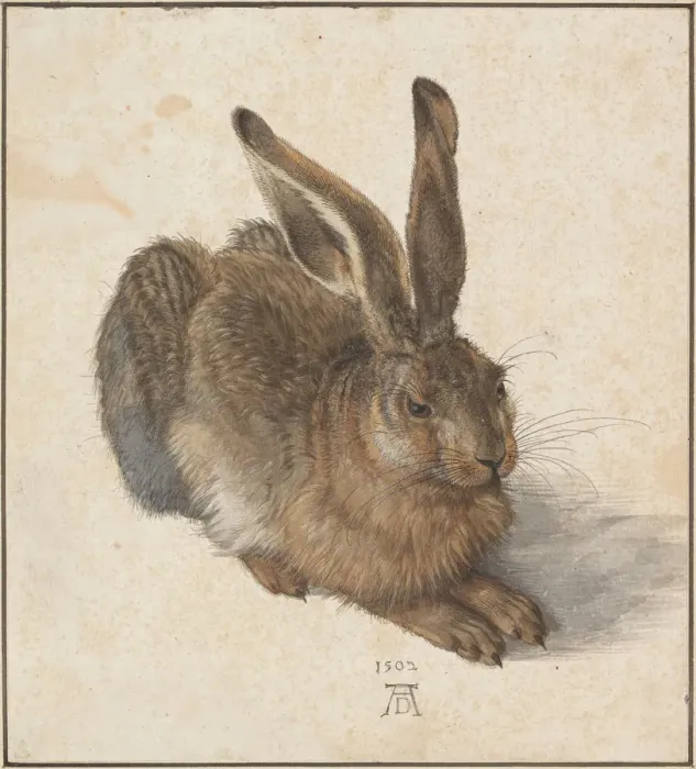 Framed Print : Hare, 1502. Artist: Durer, Albrecht (1471-1528) Framed Print : Hare, 1502. Artist: Durer, Albrecht (1471-1528)