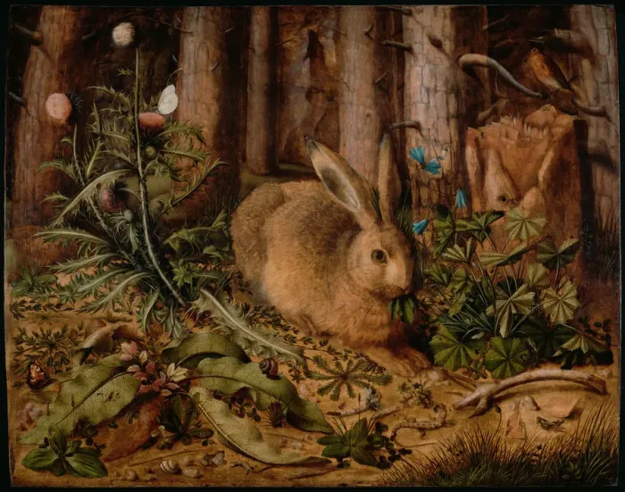 Framed Print : A Hare in the Forest, ca 1585. Artist: Hoffmann, Hans (1530-1592) Framed Print : A Hare in the Forest, ca 1585. Artist: Hoffmann, Hans (1530-1592)