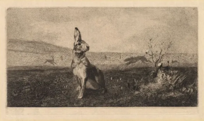 Framed Print : The Hare (Le Lievre), 1865. Creator: Felix Bracquemond (French, 1833-1914)
