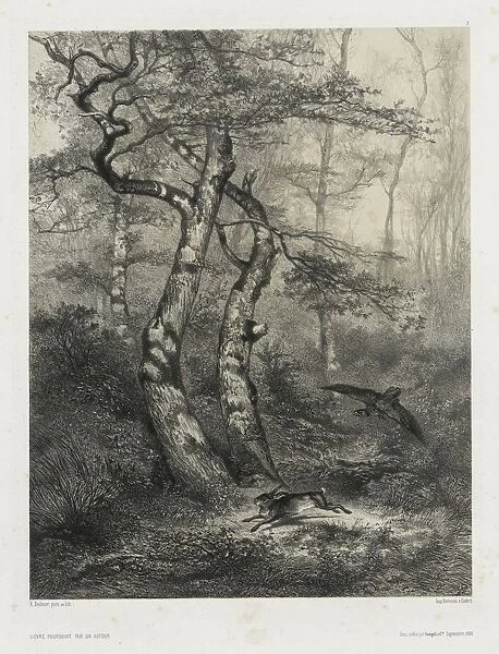 Hare Pursued by a Goshawk, 1858. Creator: Karl Bodmer (Swiss, 1809-1893);Goupil & Co