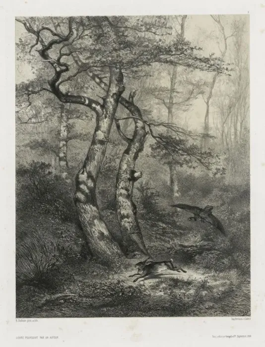 Framed Print : Hare Pursued by a Goshawk, 1858. Creator: Karl Bodmer (Swiss, 1809-1893);Goupil & Co Framed Print : Hare Pursued by a Goshawk, 1858. Creator: Karl Bodmer (Swiss, 1809-1893);Goupil & Co