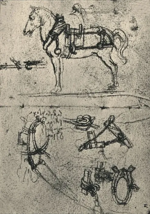 Framed Print : A Harnessed Cart-Horse and Studies of Harness, c1480 (1945). Artist: Leonardo da Vinci Framed Print : A Harnessed Cart-Horse and Studies of Harness, c1480 (1945). Artist: Leonardo da Vinci