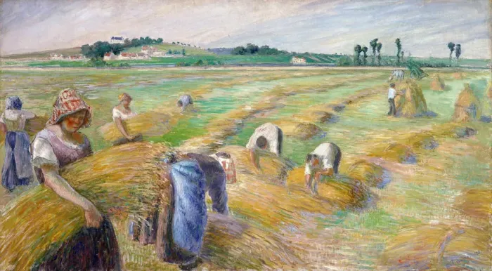 Framed Print : The Harvest, 1882. Artist: Pissarro, Camille (1830-1903) Framed Print : The Harvest, 1882. Artist: Pissarro, Camille (1830-1903)