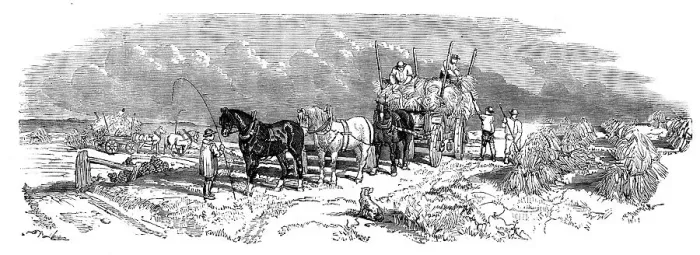 Framed Print : Harvest Operations - Carrying, 1858. Creator: Unknown Framed Print : Harvest Operations - Carrying, 1858. Creator: Unknown
