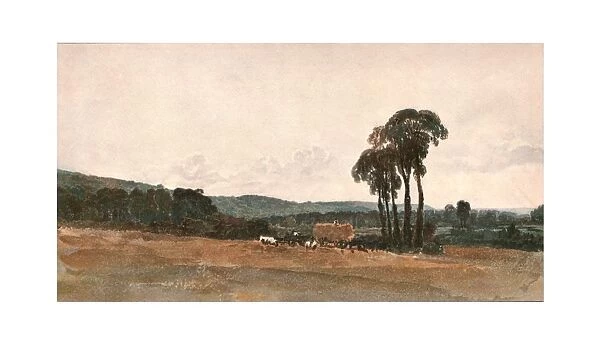 A Harvest Scene - an Outdoor Sketch, (c1900). Creator: Unknown