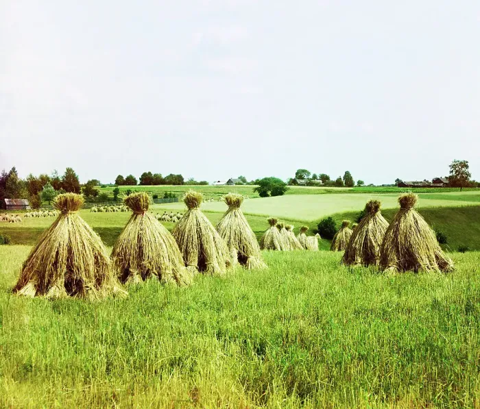 Framed Print : Harvested field, 1912. Creator: Sergey Mikhaylovich Prokudin-Gorsky Framed Print : Harvested field, 1912. Creator: Sergey Mikhaylovich Prokudin-Gorsky