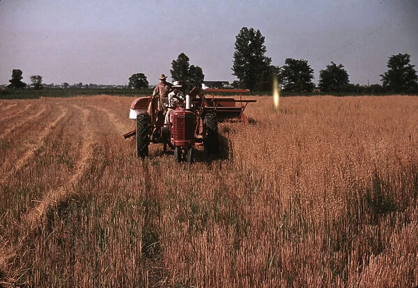 Harvesting oats, southeastern Georgia?, ca. 1940. Creator: Marion Post Wolcott