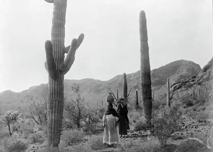 Framed Print : Hasen harvest B-Qahatika. Three women walking through desert, two with kiho carriers and... c1907. Creator: Edward Sheriff Curtis Framed Print : Hasen harvest B-Qahatika. Three women walking through desert, two with kiho carriers and... c1907. Creator: Edward Sheriff Curtis