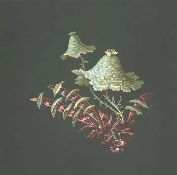 Framed Print : Two Hat-Shaped Chinoiserie Flowers with Fanciful Leaves, 19th century. Creator: Anon Framed Print : Two Hat-Shaped Chinoiserie Flowers with Fanciful Leaves, 19th century. Creator: Anon