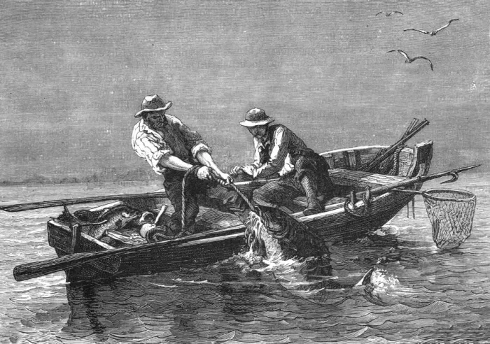 Framed Print : Hauling in a Drum-Fish; A Flying Visit to Florida, 1875. Creator: Thomas Mayne Reid Framed Print : Hauling in a Drum-Fish; A Flying Visit to Florida, 1875. Creator: Thomas Mayne Reid