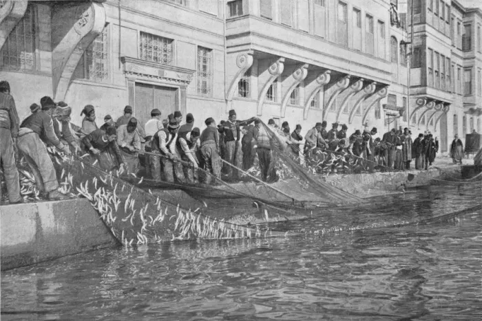 Framed Print : Hauling in a Grippo of 15000 Fish at Emirgian on the Bosphorus, c1901, (1903) Framed Print : Hauling in a Grippo of 15000 Fish at Emirgian on the Bosphorus, c1901, (1903)