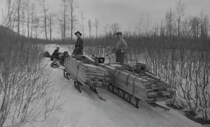 Framed Print : Hauling lumber by dog sleds, between c1900 and c1930. Creator: Unknown Framed Print : Hauling lumber by dog sleds, between c1900 and c1930. Creator: Unknown