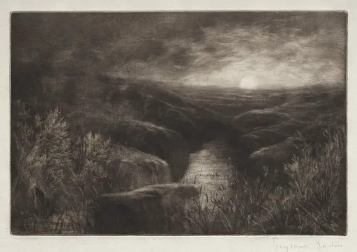 Framed Print : Haunt of the Mosquito. Creator: Francis Seymour Haden (British, 1818-1910) Framed Print : Haunt of the Mosquito. Creator: Francis Seymour Haden (British, 1818-1910)