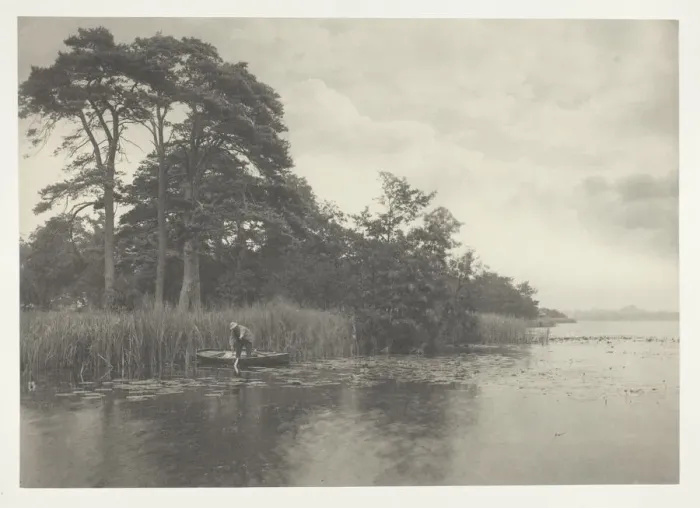 Framed Print : The Haunt of the Pike, 1886. Creator: Peter Henry Emerson Framed Print : The Haunt of the Pike, 1886. Creator: Peter Henry Emerson