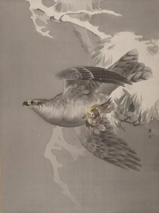 Framed Print : Hawk Holding a Small Bird, ca. 1891-92. Creator: Okada Baison Framed Print : Hawk Holding a Small Bird, ca. 1891-92. Creator: Okada Baison