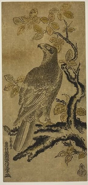 A Hawk on a Kiri Tree, c. 1720  /  25. Creator: Okumura Masanobu